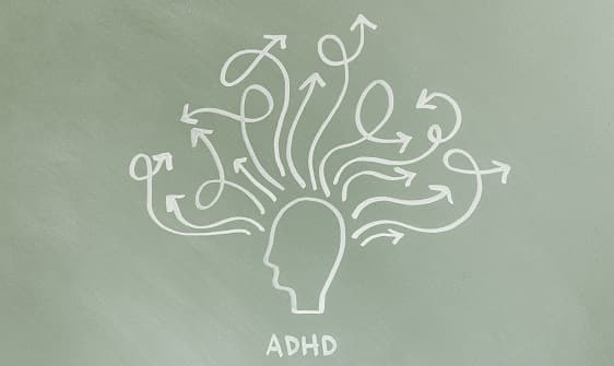 mind of an adult with adhd