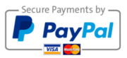 secure payment paypal icon